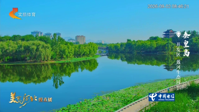美丽河北慢直播丨荷风苇浪，廊榭悠悠，邂逅“北国小江南”戴河生态园 清晨 2026/09/02#这么近，那么美，周末到河北