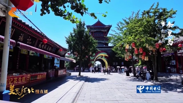美丽河北见证官杨建明作品欣赏丨漫步山海关青砖古巷，感受市井烟火！