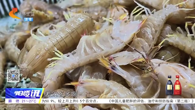 记者走市场丨海鲜大量上市  第一口“鲜”你尝了吗？