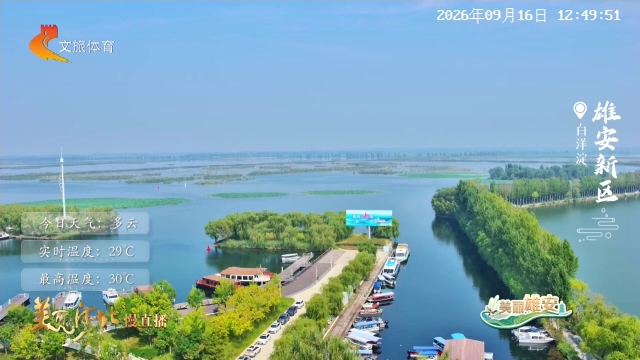 美丽河北慢直播丨云游白洋淀，在苇荡碧水间感受水乡浪漫 雄安新区 正午 2026/09/16