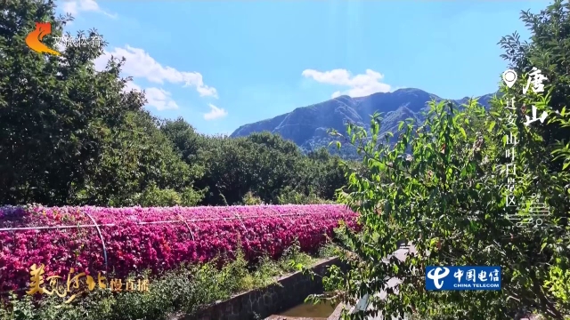 美丽河北见证官杨建明作品欣赏丨初秋相约山叶口，登高览景，漫步花廊~