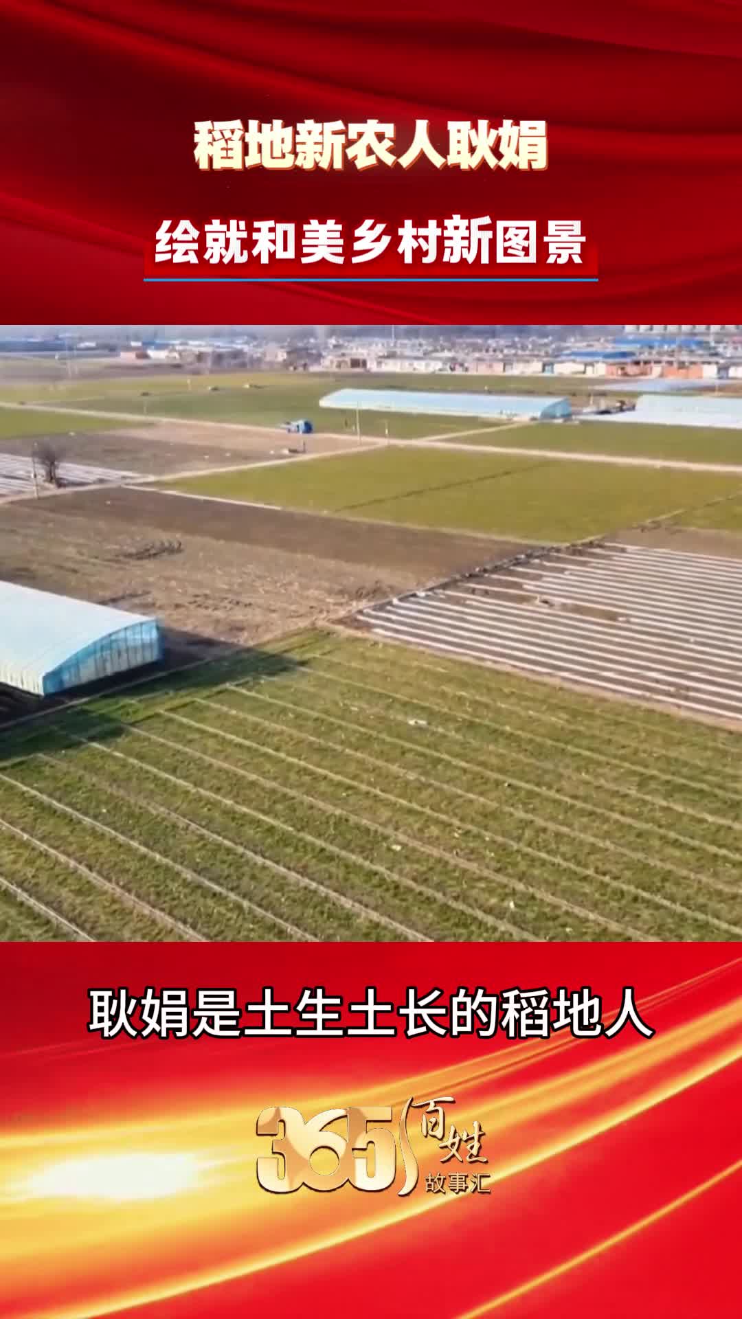 365百姓故事汇 稻地新农人耿娟 绘就和美乡村新图景