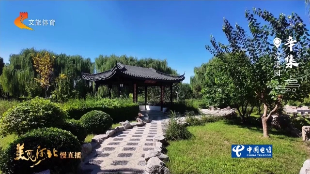美丽河北慢直播丨风拂秋色凝清趣，满径风光浣溪园 清晨 2026/09/21