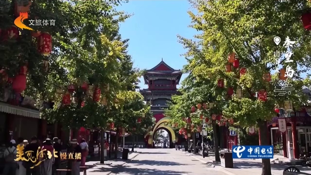 美丽河北见证官关欣作品欣赏丨山海关一城古韵，几许秋光！