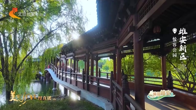 美丽河北慢直播丨晨光倾洒，悦容公园一园秋意赴清晓 雄安新区 清晨 2026/09/24