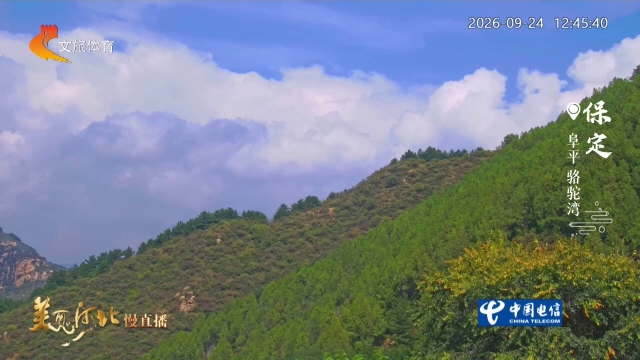 美丽河北慢直播丨骆驼湾山染秋彩，白云悠然~保定 正午 2026/09/24