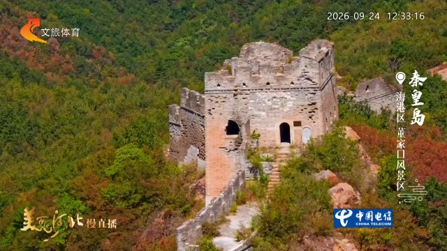 美丽河北慢直播丨董家口丹叶映长城，绘出秋日风韵！秦皇岛 正午 2026/09/24