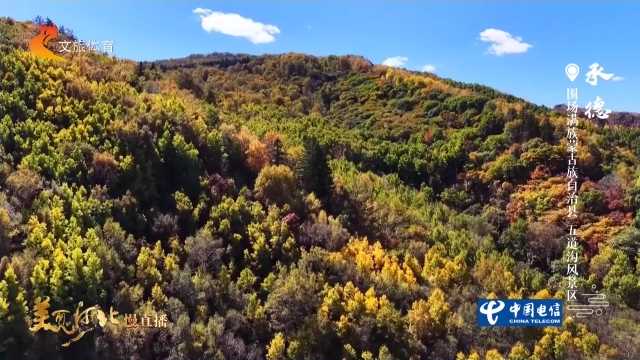 美丽河北慢直播丨秋染五道沟，满目斑斓，宛如油画世界 承德 正午 2026/09/28