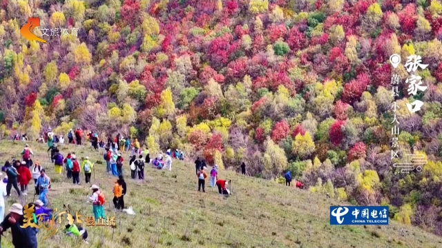 美丽河北慢直播丨徒步小天山，沉浸式感受层林尽染的秋日画卷 张家口 正午 2026/09/28