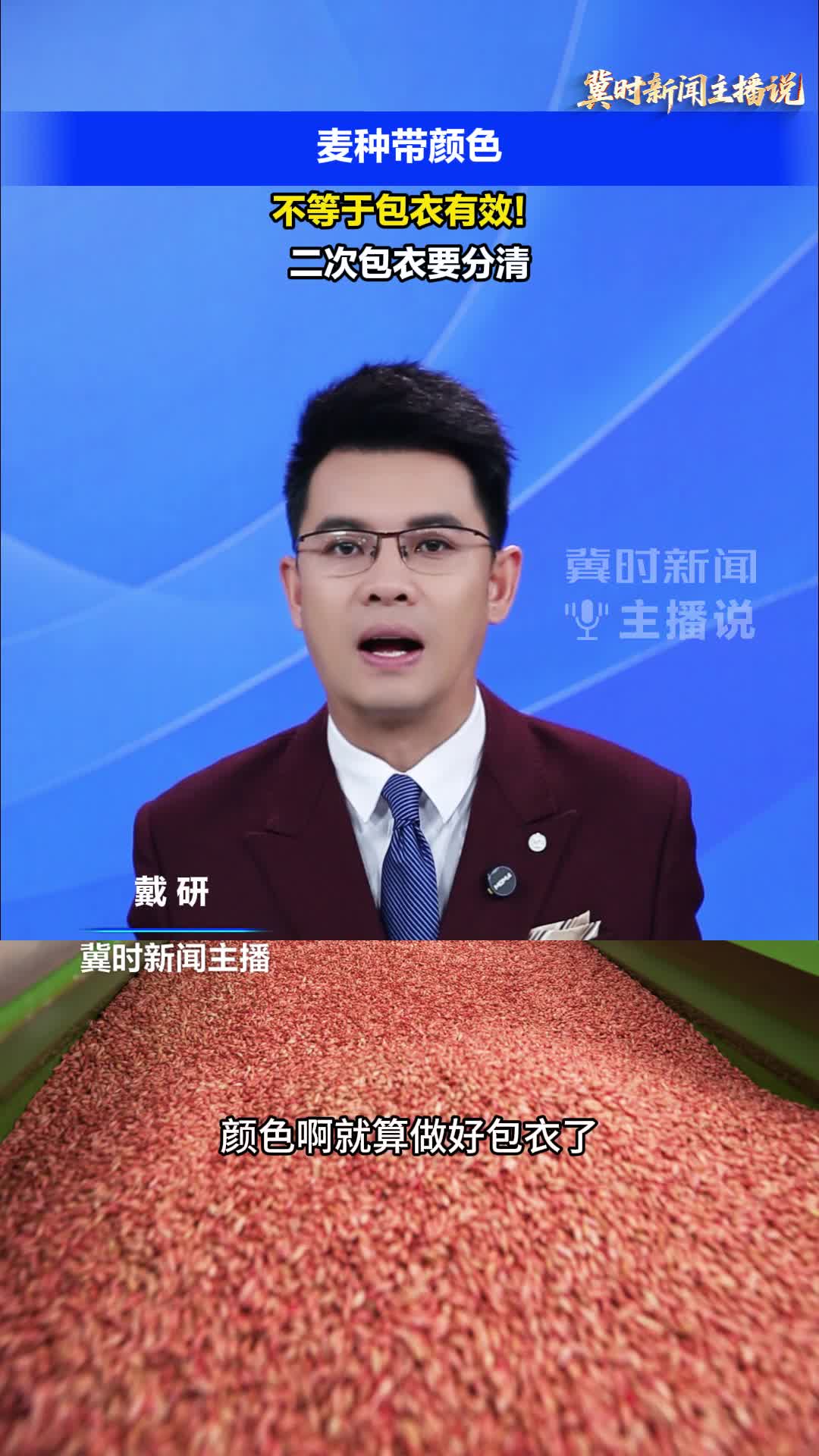 【冀时新闻主播说】麦种带颜色，不等于包衣有效！二次包衣要分清
