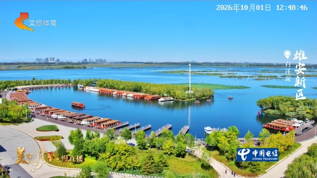 美丽河北慢直播丨秋水漾清波，飞鸟伴舟行，白洋淀的快乐不止加一倍 正午 2026/10/01