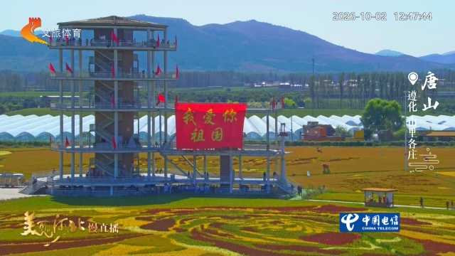 美丽河北慢直播丨小火车穿行多彩稻海，山里各庄拍照超出片 唐山 正午 2026/10/02