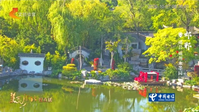 美丽河北慢直播丨磁州水墨园清秋入画，恰似北国江南 邯郸 清晨 2026/10/07