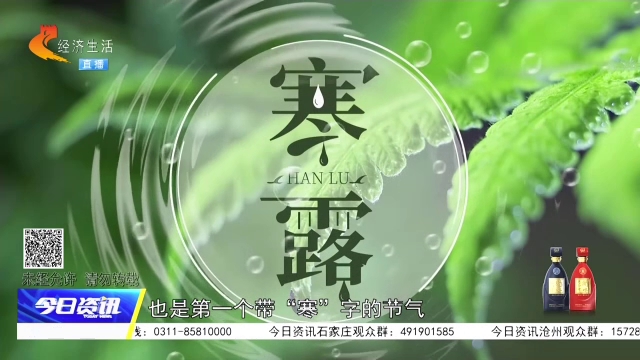 寒露至 凉燥来袭 深秋养生有讲究