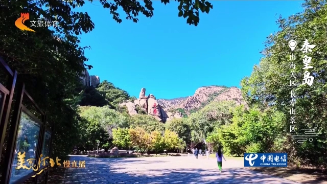 美丽河北慢直播丨长寿山清光浮峻岭，林送清风入浅秋 秦皇岛 正午 2026/10/08