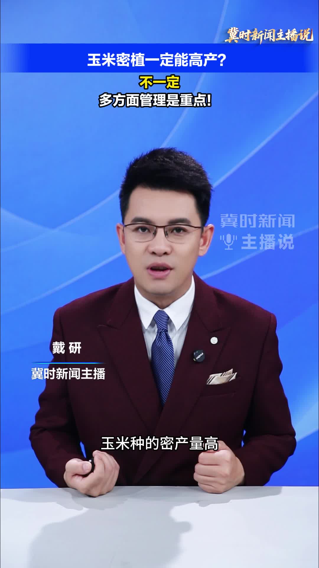 【冀时新闻主播说】玉米密植一定能高产？不一定，多方面管理是重点！