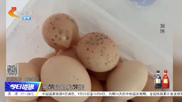 长点“健”识丨“长斑”鸡蛋千万别吃！ 四招教您挑选新鲜鸡蛋
