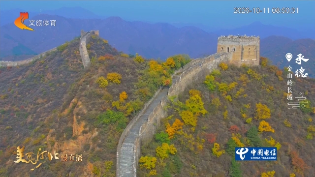 美丽河北慢直播丨金秋登长城，看金山岭层林尽染 承德 清晨 2026/10/11