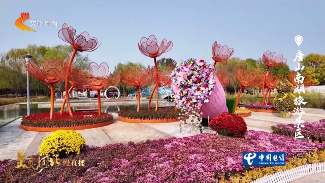美丽河北见证官郭宪芳作品欣赏丨南湖秋花堆锦，秋韵满溢！