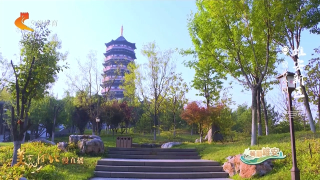 美丽河北慢直播丨悦容公园的秋天，直接美成油画！雄安新区 清晨 2026/10/14