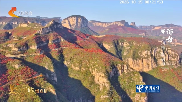美丽河北慢直播丨红枫山丹枫漫峰峦，彩叶舞秋风 邢台 清晨 2026/10/15