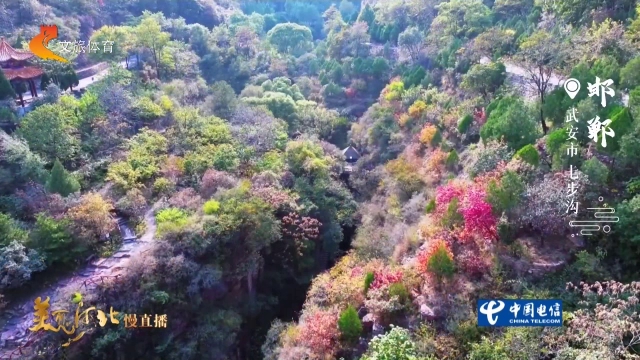 美丽河北慢直播丨七步沟叠翠添丹色，满目斑斓已是秋 邯郸 清晨 2026/10/15