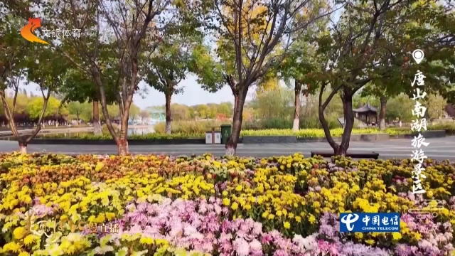 美丽河北见证官郭宪芳作品欣赏丨南湖秋至，一岸繁花遇清风