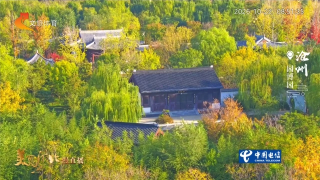 美丽河北慢直播丨沧州园博园彩叶层叠，风携菊香！清晨 2026/10/22