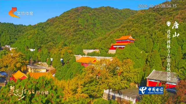 美丽河北慢直播丨禅林寺古银杏树如金蝶翩飞！唐山 清晨 2026/10/22