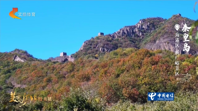 美丽河北慢直播丨板厂峪长城卧峰，层峦尽染！秦皇岛 正午 2026/10/24
