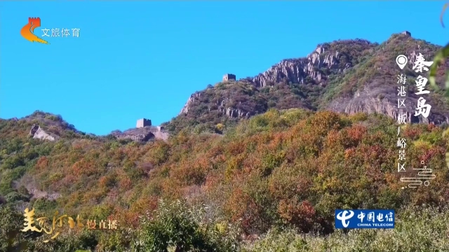 美丽河北见证官杨建明作品欣赏丨板厂峪长城卧峰，层峦尽染！