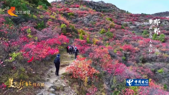 美丽河北见证官吴长新作品欣赏丨层层叠叠红到天边，大水峧把秋天的仪式感做足了
