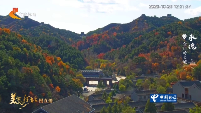 美丽河北慢直播丨金山岭峰峦藏秋锦，长城卧彩林 承德 正午 2026/10/26