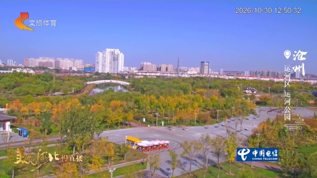 美丽河北慢直播丨漫步运河公园，赏秋色~沐秋阳！正午 2026/10/30