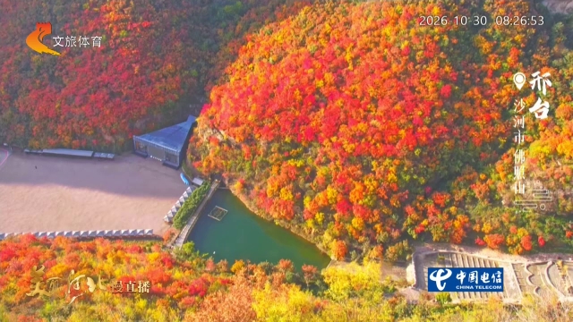 美丽河北慢直播丨叠嶂披霞呈异彩，斑斓落满佛照山 邢台 清晨 2026/10/30