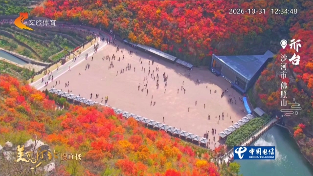 美丽河北慢直播•太行山文化旅游带丨秋风送信，红叶铺路，佛照山等你来 正午 2026/10/31