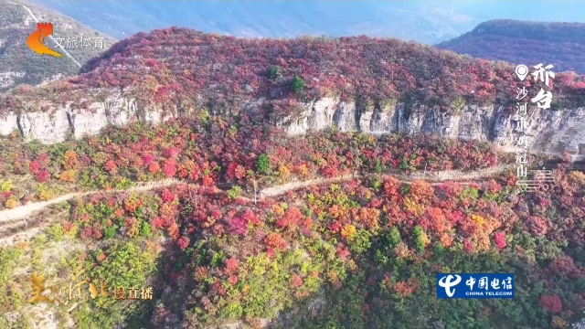 美丽河北慢直播丨鸡冠山峭壁环丹林，快来登高赏秋！邢台 清晨 2026/10/31