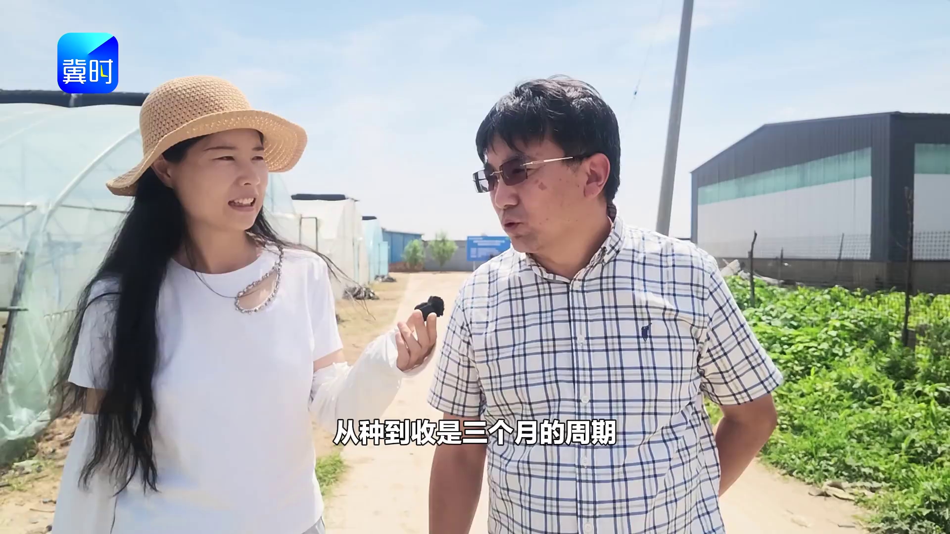 【专家在线】高端瓜园可以复制吗？可以！成熟种植模式成功复刻