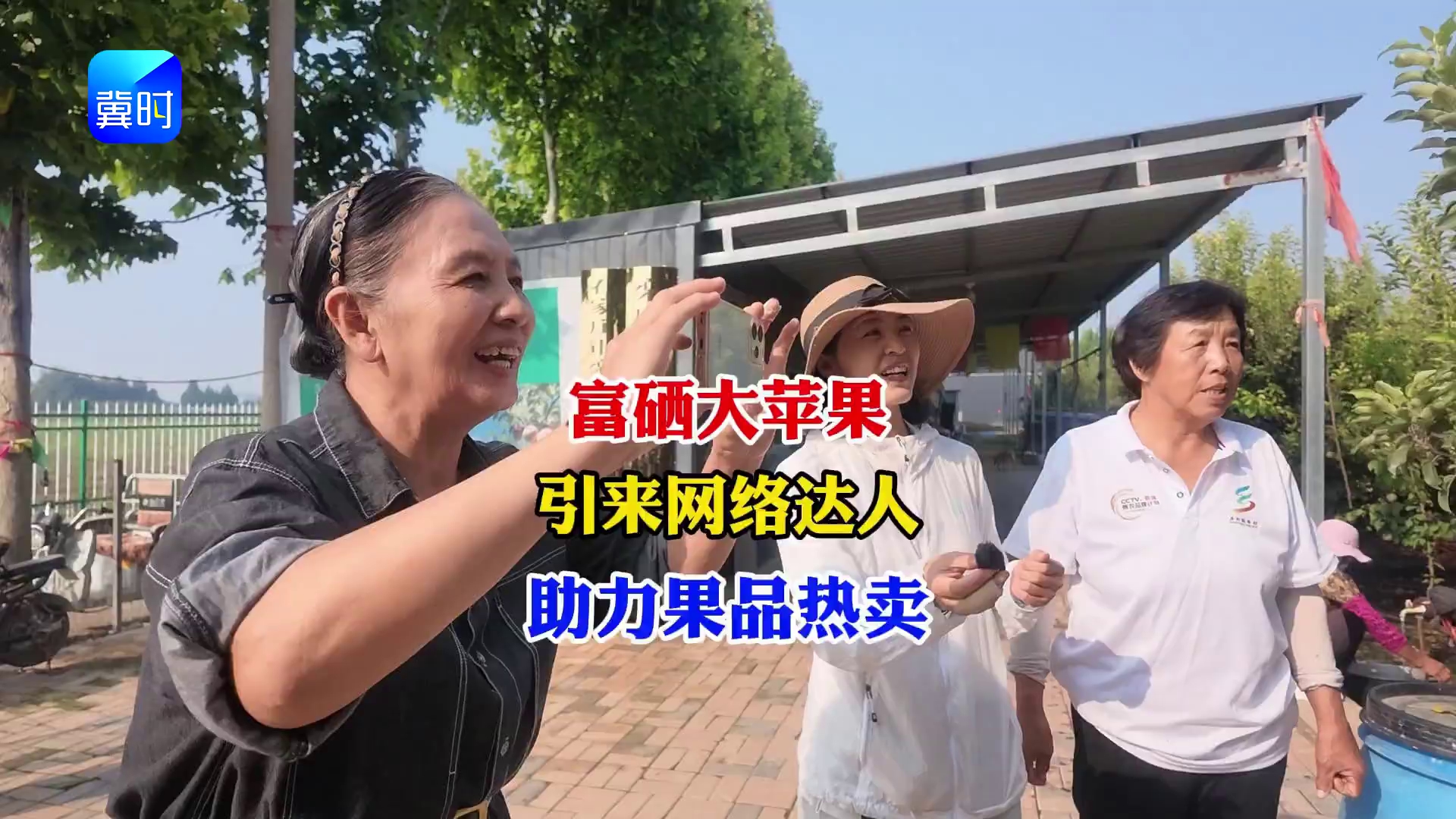 【专家在线】富硒大苹果成熟啦！引来网络达人，助力果品热卖