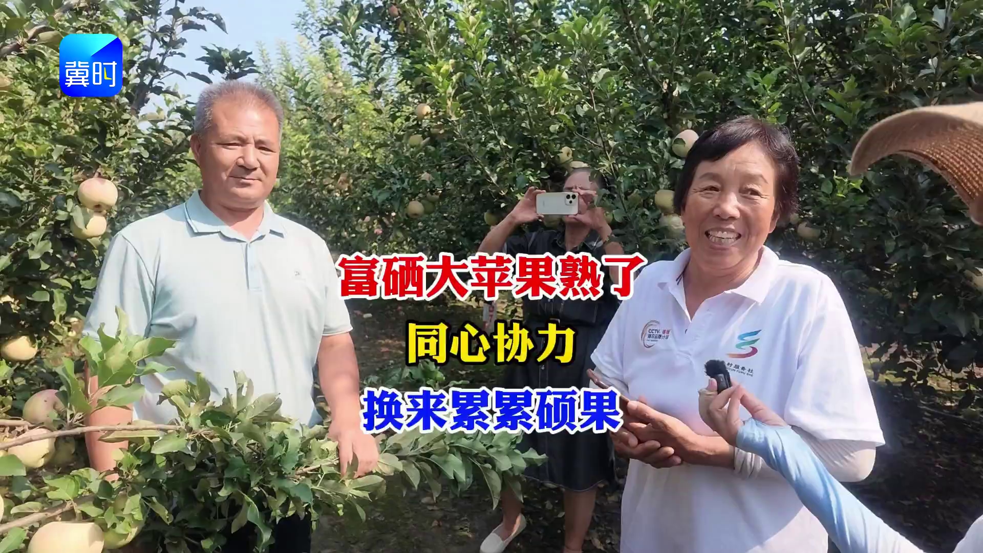 【专家在线】富硒大苹果成熟啦！硕果累累挂枝头