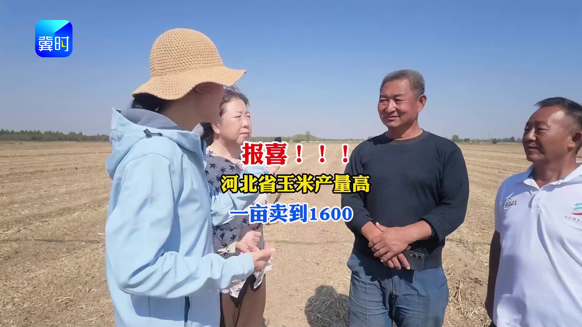 【专家在线】报喜！河北省玉米产量高，一亩卖到1600